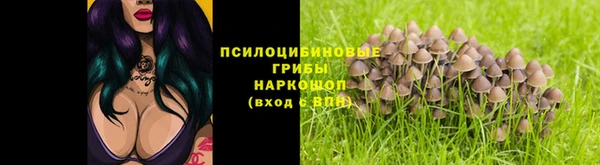 гашик Семёнов
