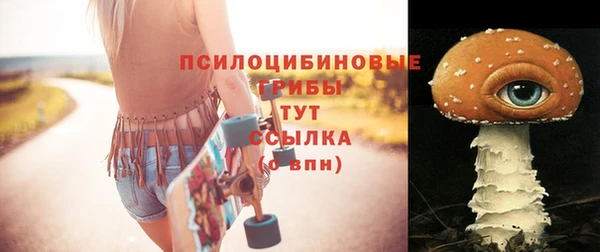 прущие грибы Семикаракорск