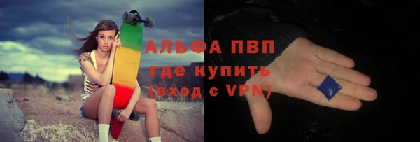 прущие грибы Семикаракорск