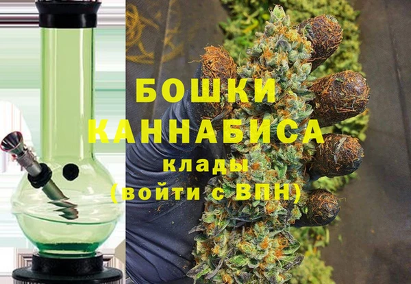 сатива Кирсанов