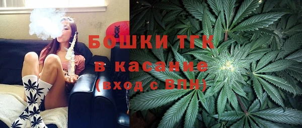 прущие грибы Семикаракорск