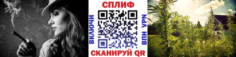МАРИХУАНА индика  hydra ссылка  Тында 